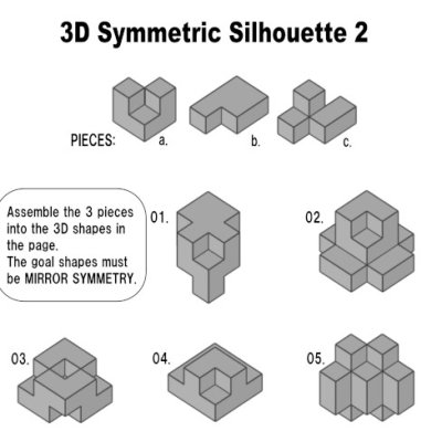 Photo3: 3D-Symmetric Silhouette 2 