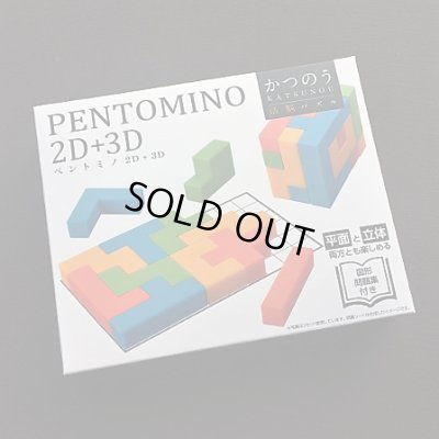 Photo1: PENTOMINO 2D+3D 
