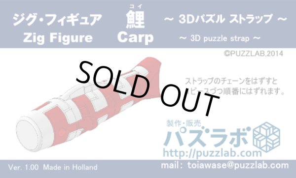 Photo3: Zig Figure Carp (3)