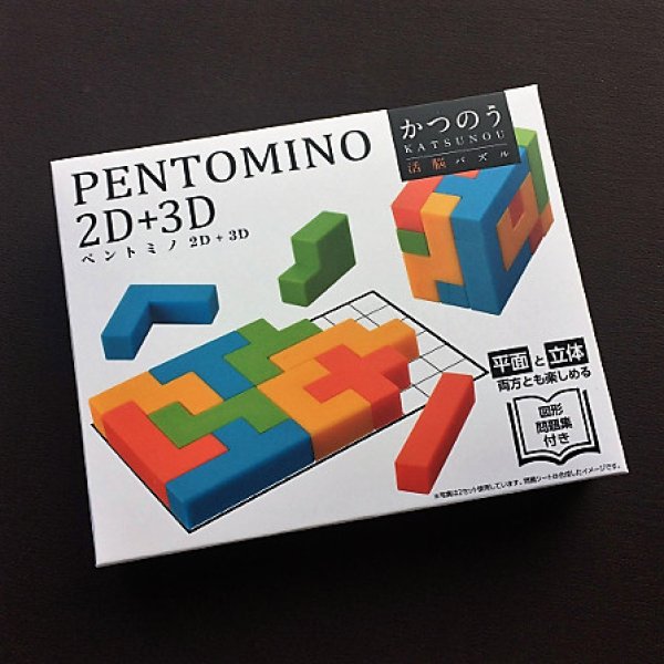 Photo1: PENTOMINO 2D+3D  (1)